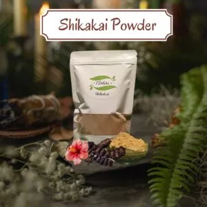 Shikakai Powder